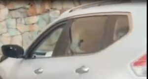 Violento hecho en el oeste de Cali: hombre pierde la vida en presunto hurto