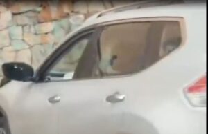 Violento hecho en el oeste de Cali: hombre pierde la vida en presunto hurto