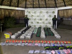 Segundo golpe al narcotráfico: Policía incauta cerca de media tonelada de marihuana en Candelaria