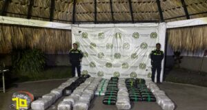 Segundo golpe al narcotráfico: Policía incauta cerca de media tonelada de marihuana en Candelaria