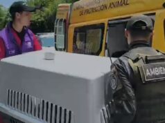 Policía Ambiental rescata animales y captura a mujer por maltrato en Cali