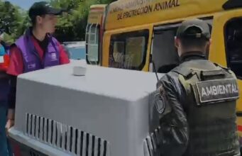 Policía Ambiental rescata animales y captura a mujer por maltrato en Cali