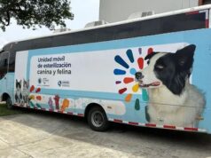 Gobernación del Valle fortalece refugios con unidades productivas para el cuidado animal