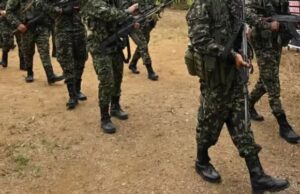 Autoridades desmienten presencia de disidencias en municipios del Valle del Cauca