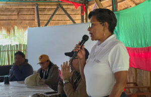 Medidas cautelares buscan proteger a comunidades indígenas del norte del Cauca