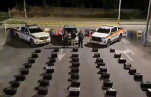 Autoridades incautan más de 660 kilos de marihuana en vías del Valle del Cauca