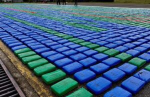 Autoridades decomisan más de 11 toneladas de marihuana en Putumayo