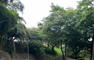 Cali fortalece la seguridad vial con renovación de segregadores en corredores estratégicos