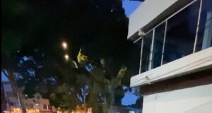 Personería de Cali intensifica seguimiento a obras e intervención en la Carrera 63A de Cañaveralejo