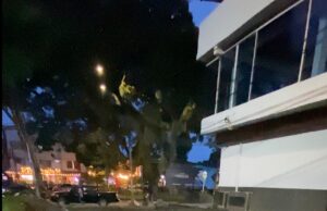 Personería de Cali intensifica seguimiento a obras e intervención en la Carrera 63A de Cañaveralejo