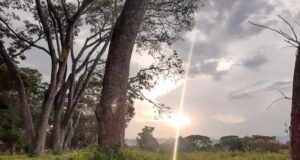Gobernación del Valle promueve medidas para mitigar efectos del Fenómeno de El Niño
