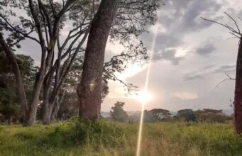 EMCALI refuerza medidas ante posible fenómeno de El Niño y promueve el ahorro de energía