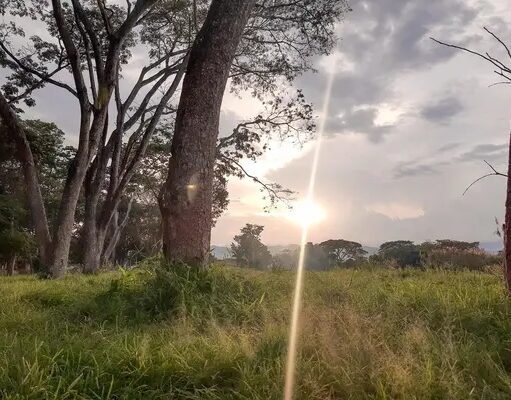 Gobernación del Valle promueve medidas para mitigar efectos del Fenómeno de El Niño