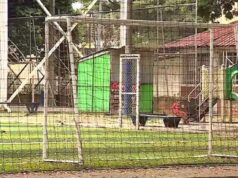 Personería de Cali exige repuestas del Distrito con celeridad, por deceso de estudiante en medio de actividad lúdica en polideportivo