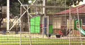 Personería de Cali exige repuestas del Distrito con celeridad, por deceso de estudiante en medio de actividad lúdica en polideportivo