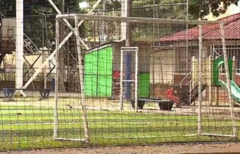 Personería de Cali exige repuestas del Distrito con celeridad, por deceso de estudiante en medio de actividad lúdica en polideportivo