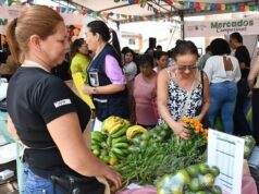Mercado Campesino reunirá a productores del Valle este viernes en el Parque Santa Rosa