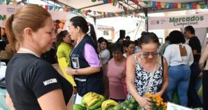 Mercado Campesino reunirá a productores del Valle este viernes en el Parque Santa Rosa