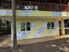 Mural en el Lago de las Garzas une arte, fauna y música para fortalecer la educación ambiental en Cali