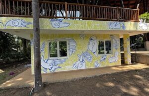 Mural en el Lago de las Garzas une arte, fauna y música para fortalecer la educación ambiental en Cali