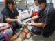 El moquillo canino sigue siendo una enfermedad mortal: autoridades emiten recomendaciones