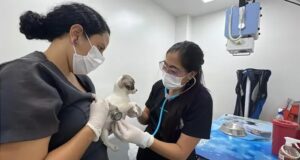 Cali avanza en la construcción de la Política Pública de Protección y Bienestar Animal
