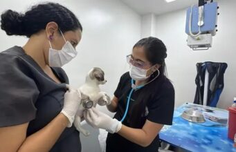 Cali avanza en la construcción de la Política Pública de Protección y Bienestar Animal