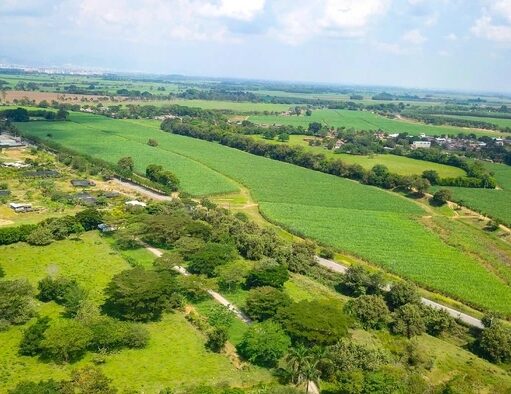 Valle del Cauca fortalece medidas preventivas ante llegada del fenómeno de El Niño