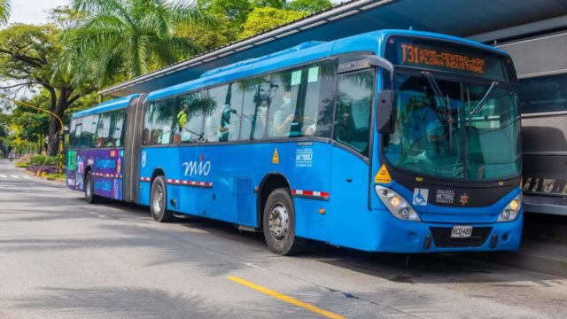buses MIO