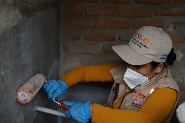 campaña contra el dengue