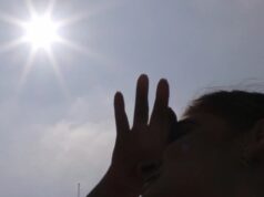 Ola de calor: consejos clave para cuidar su salud, a sus mascotas y el medio ambiente