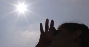 Ola de calor: consejos clave para cuidar su salud, a sus mascotas y el medio ambiente