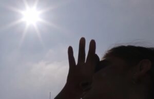 Ola de calor: consejos clave para cuidar su salud, a sus mascotas y el medio ambiente