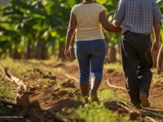 Procuraduría refuerza vigilancia sobre la política de víctimas y restitución de tierras