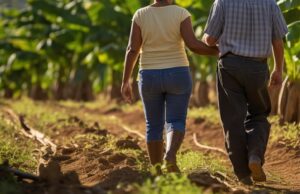 Procuraduría refuerza vigilancia sobre la política de víctimas y restitución de tierras
