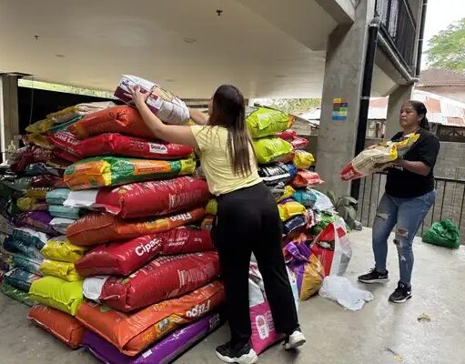 34 toneladas de alimento llegan al Valle para mascotas afectadas por el terremoto