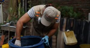 Florida refuerza la lucha contra el dengue con pintura repelente en tanques de agua