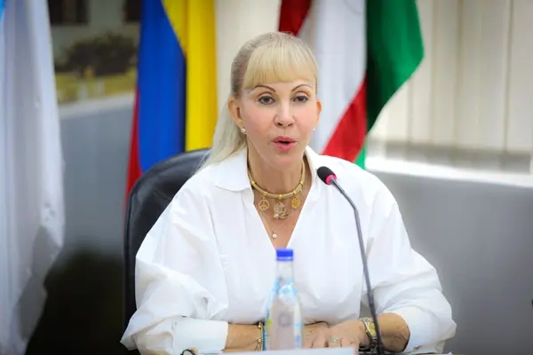 dilian francisca toro