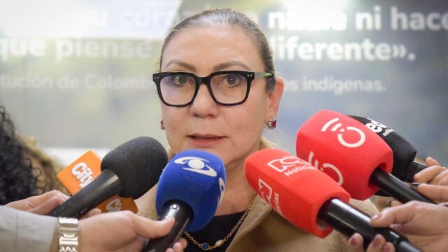 Directora del ICBF, María Carolina Restrepo